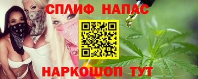 гашик Новозыбков