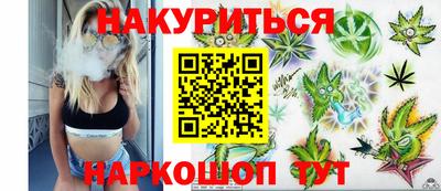 гашик Новозыбков