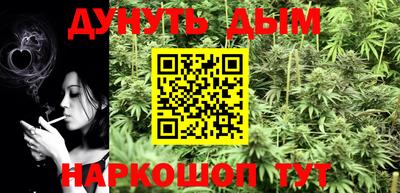 гашик Новозыбков