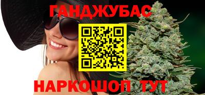 гашик Новозыбков