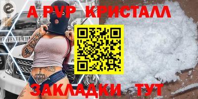 гашик Новозыбков